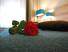 Best Western Hotel Baars
