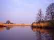 Biesbosch - Beeldbank Dordrecht Biesbosch - Beeldbank Dordrecht