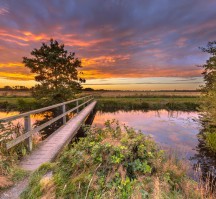 Hotel Het Witte Veen (Algemeen omgeving)