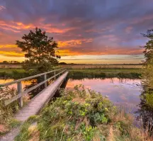 Boutique Hotel Het Witte Veen (Algemeen omgeving)