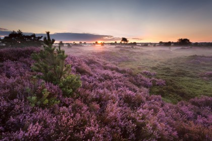 Veluwe Hotel De Beyaerd