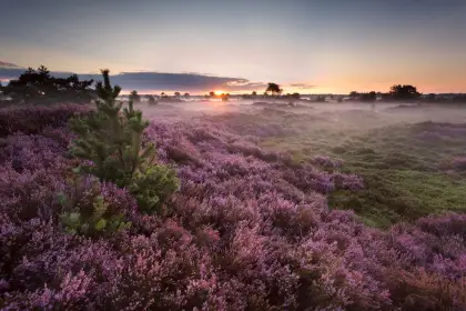Veluwe Hotel De Beyaerd