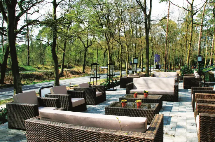 Terras
