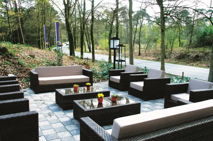 Terras