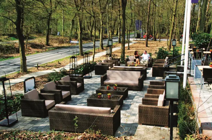 Terras