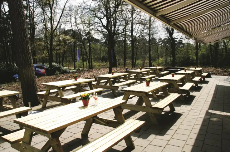 Terras