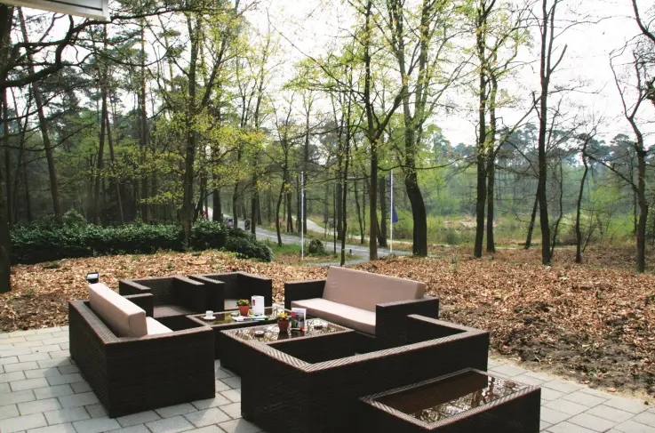 Terras