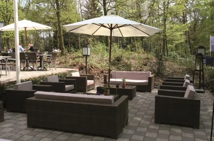 Terras
