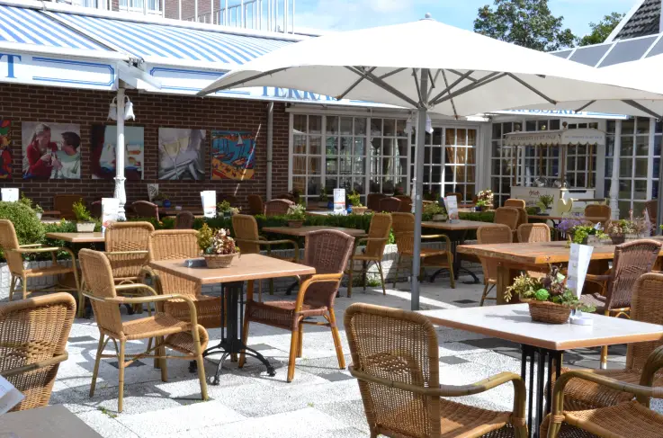 Terras