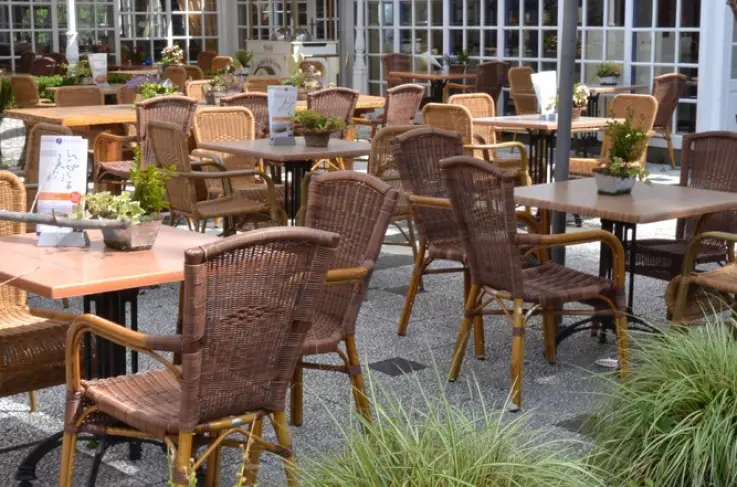 Terras