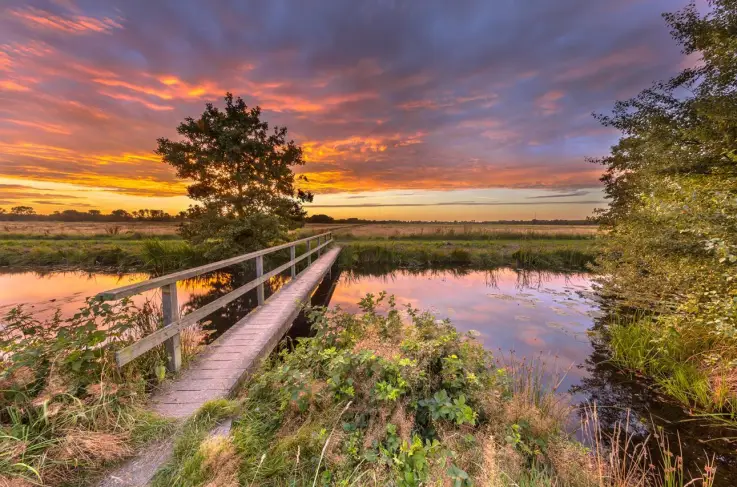 Algemeen omgeving
