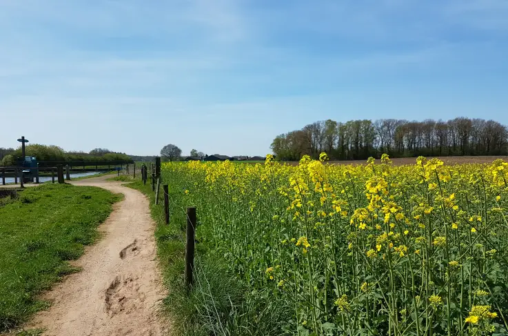 Omgeving
