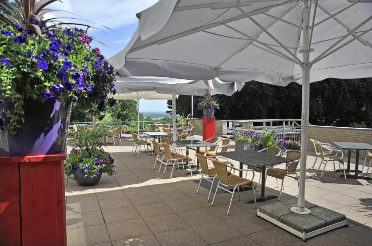 Terras
