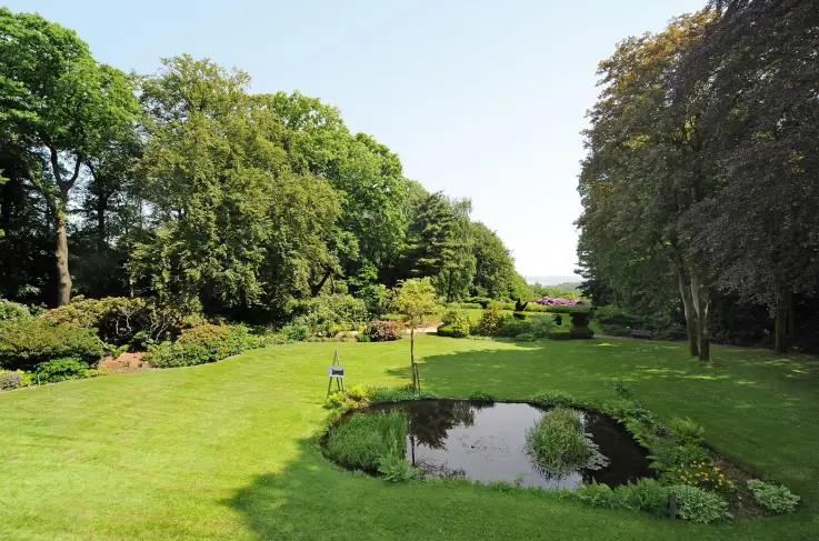 Tuin