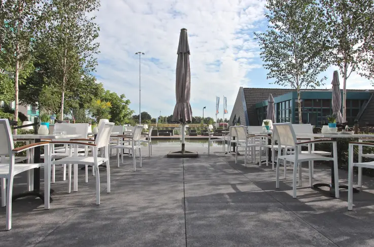 Terras