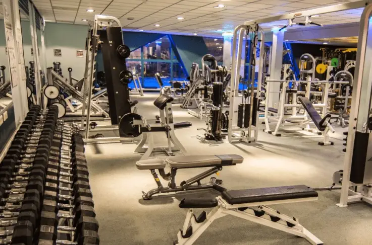 Fitness