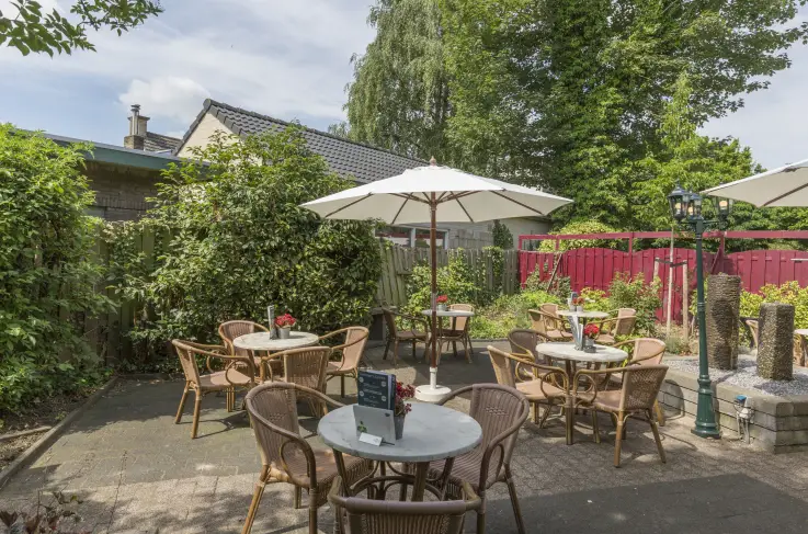 Terras