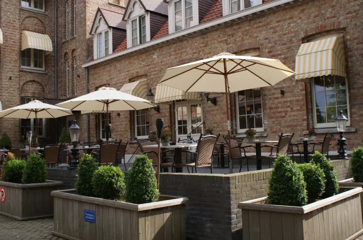 Terras