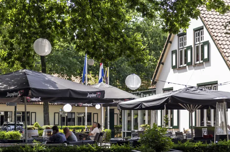 Terras