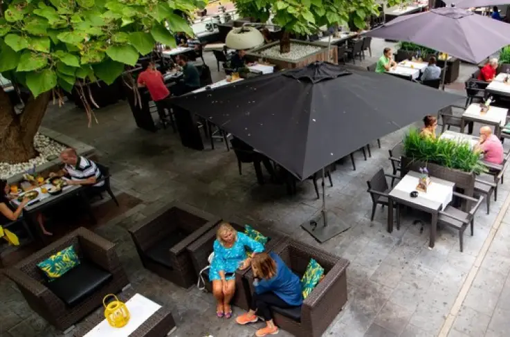 Terras
