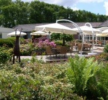 Fletcher Hotel-Restaurant Victoria-Hoenderloo (Terras)