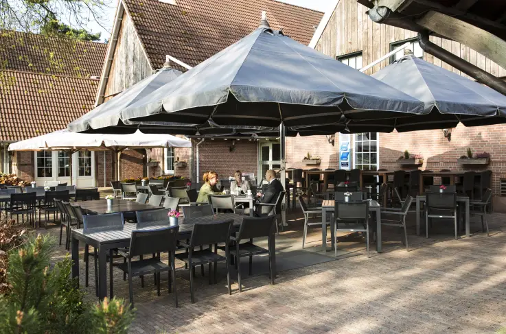 Terras