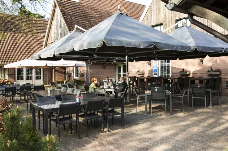 Terras