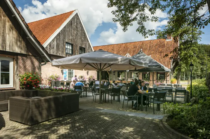 Terras