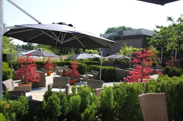 Terras