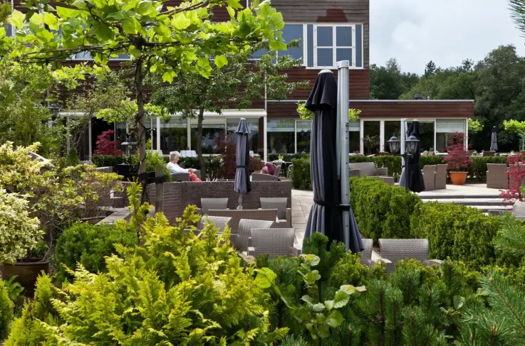 Terras