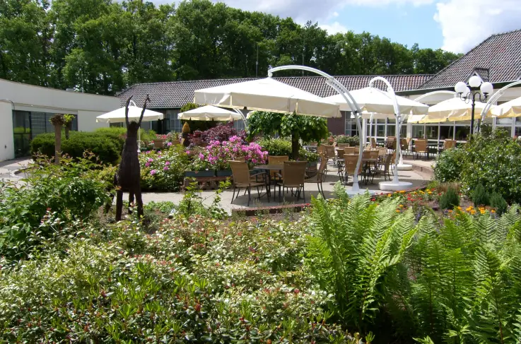 Terras