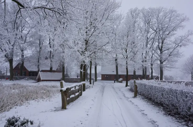 Erf Winter