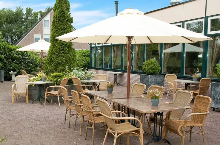 Terras