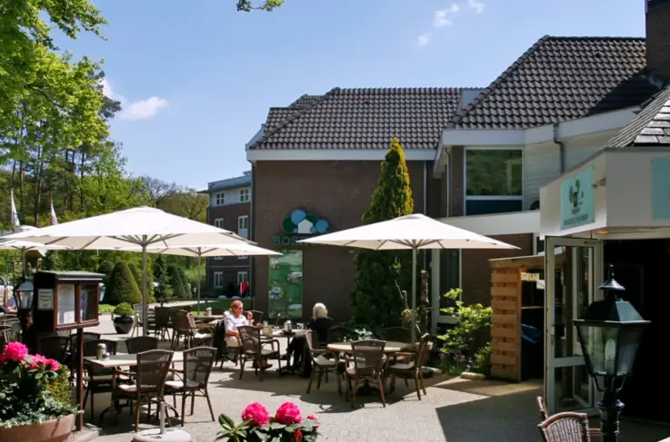Terras