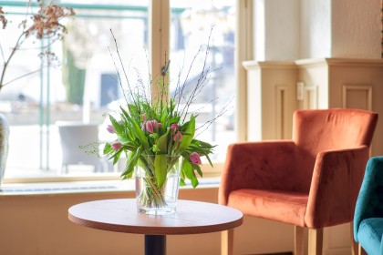 Hotel en appartementen Kasteel Schaloen