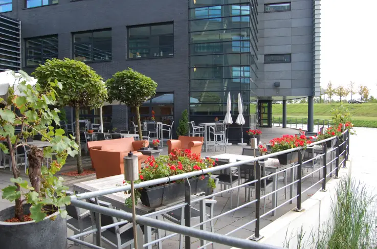Terras