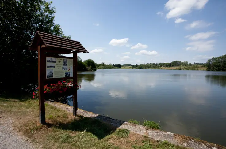 Omgeving