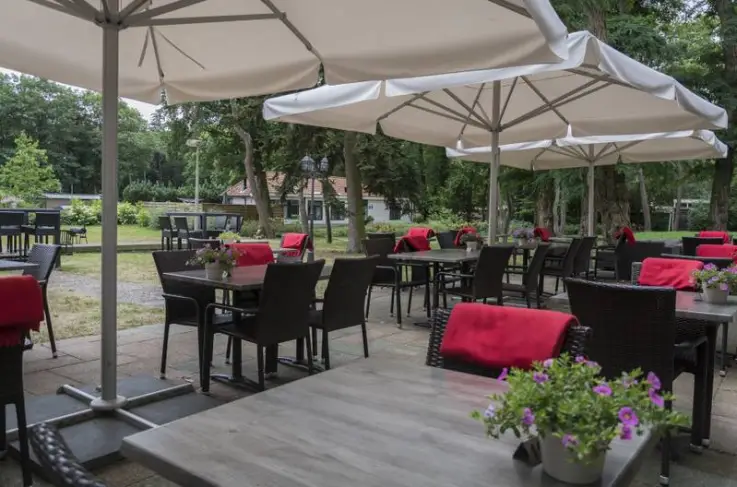 Terras