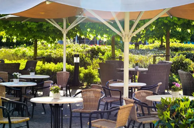 Terras