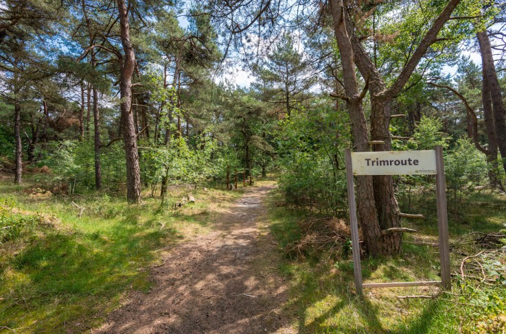 Woudschoten Trimbaan