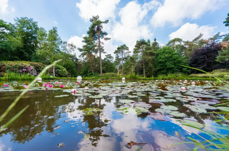 Woudschoten Vijver