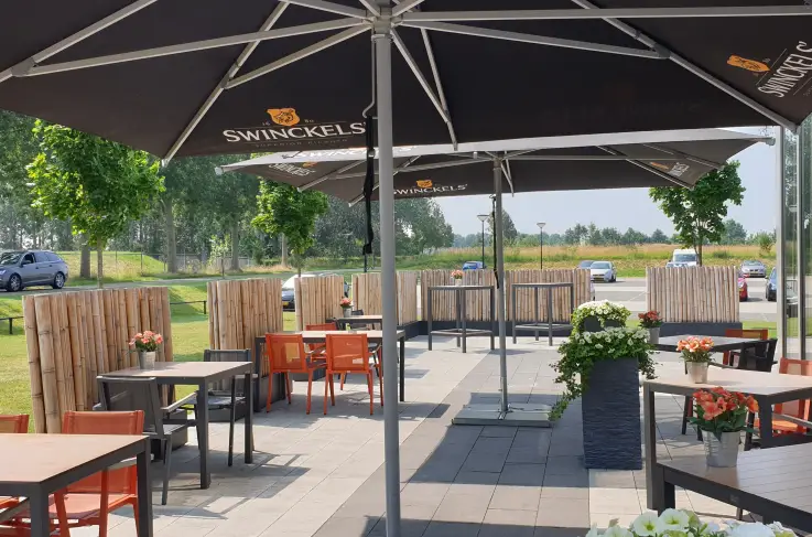 Terras