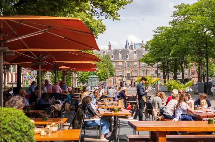 Terras