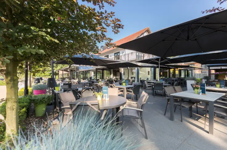 Terras