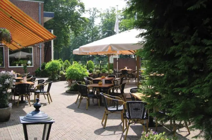 Terras