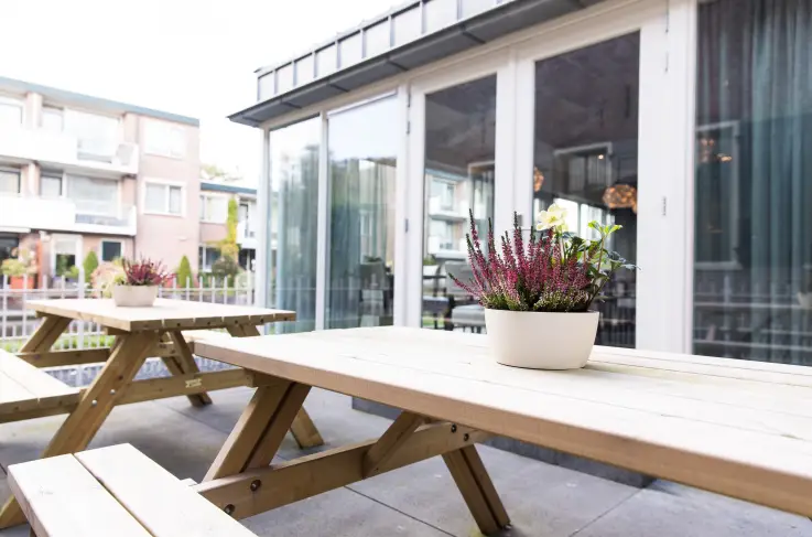 Terras