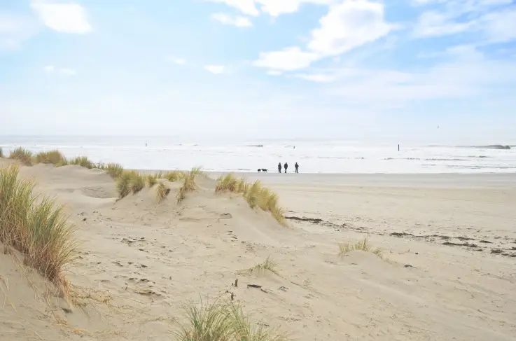 Algemeen omgeving