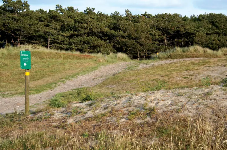 Algemeen omgeving
