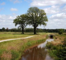 Hotel Het Landhuis (Omgeving)