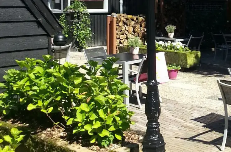 Terras